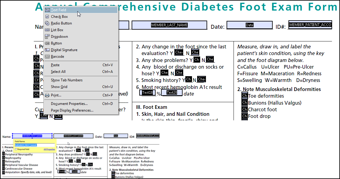 editable PDF form
