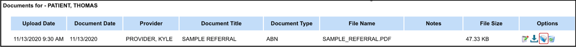 patient documents preview icon