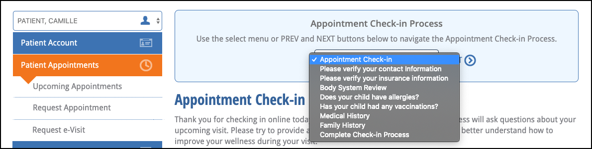 custom check-in processes example portal