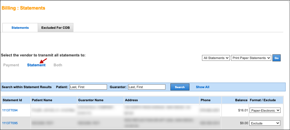 transmit electronic statements