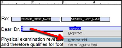 editable PDF rename field