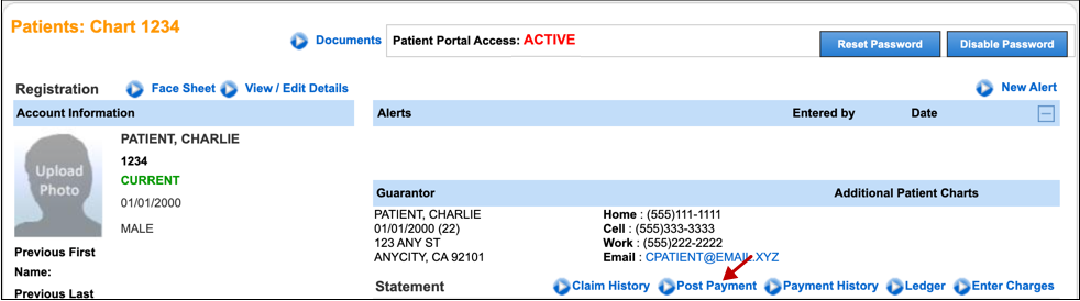 patient chart post payment