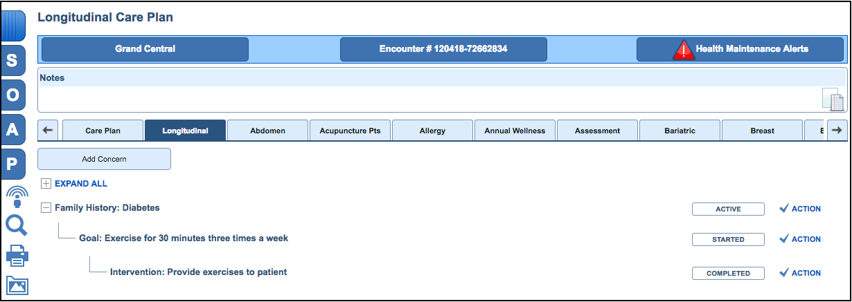 longitudinal care plan